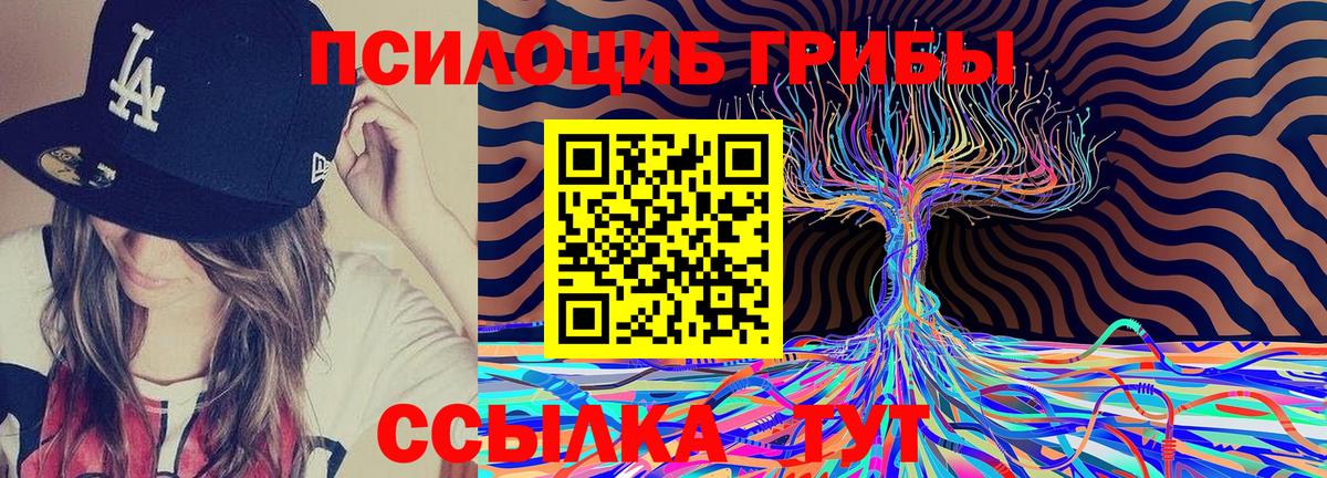 Галлюциногенные грибы Cubensis  Галлюциногенные грибы мицелий  Алексин  Вход с VPN 
